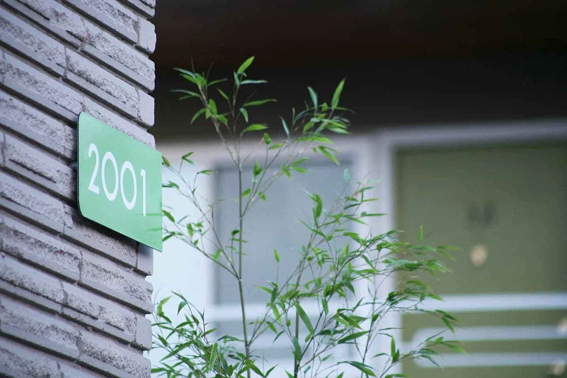Green sign with '2001' on a gray brick building exterior, with a leafy green plant in the foregro...